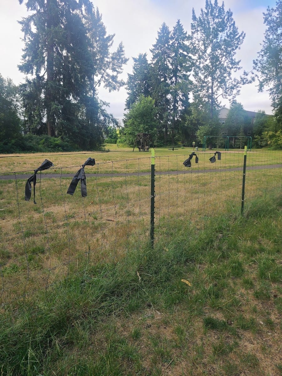 Evergreen Park, photo 3