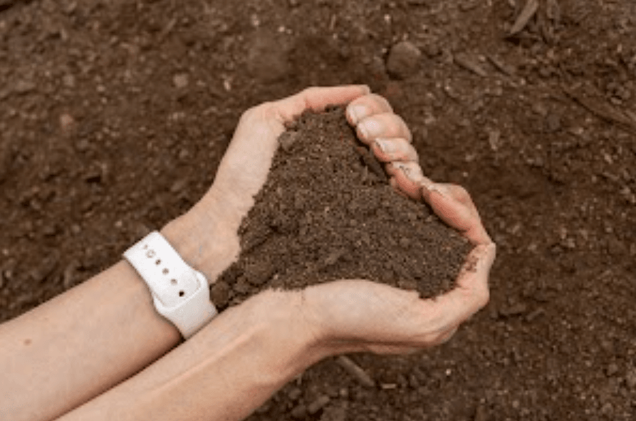 ARS Landscape Opens Fall Soil Amendment Ordering Window