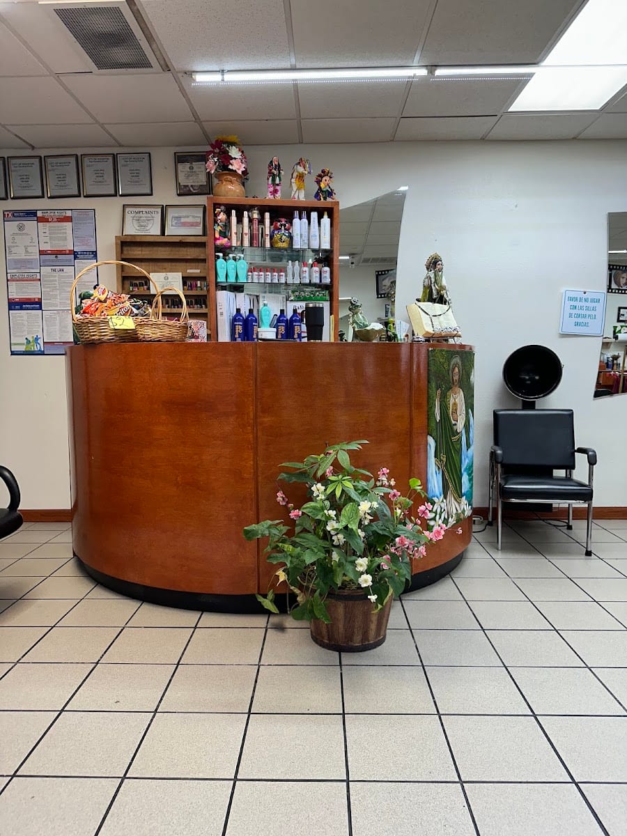 Erika’s Hair Salon, photo 3