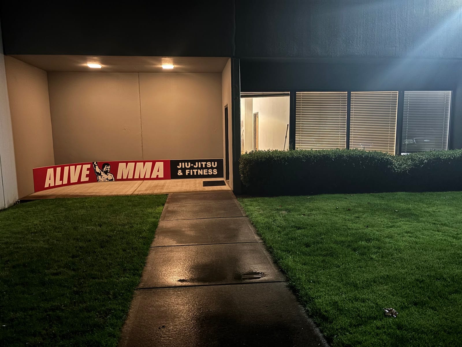 Alive MMA, photo 2