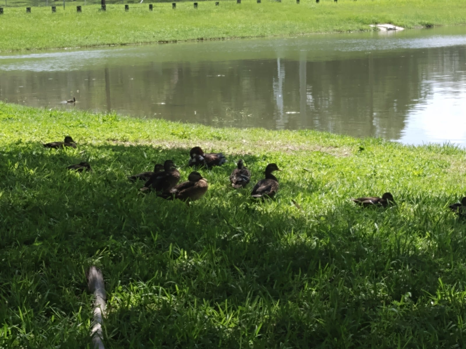 David E. West Park, photo 3