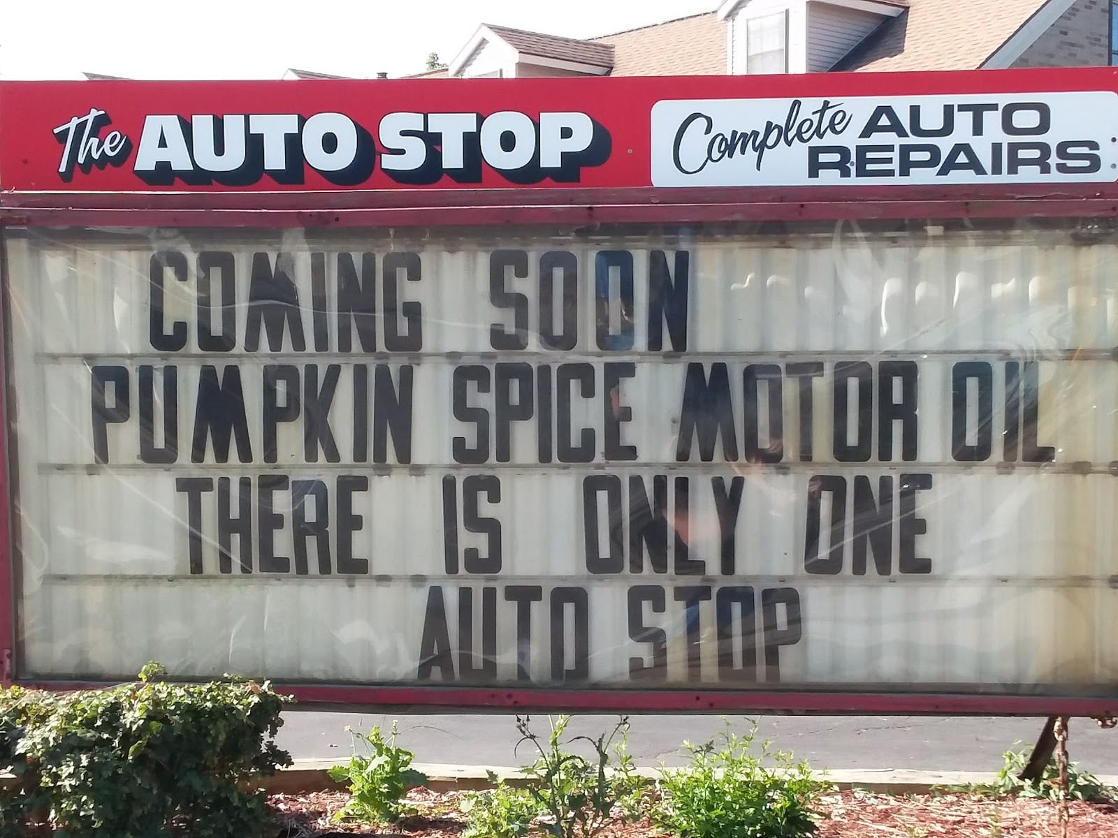 The Auto Stop, photo 3