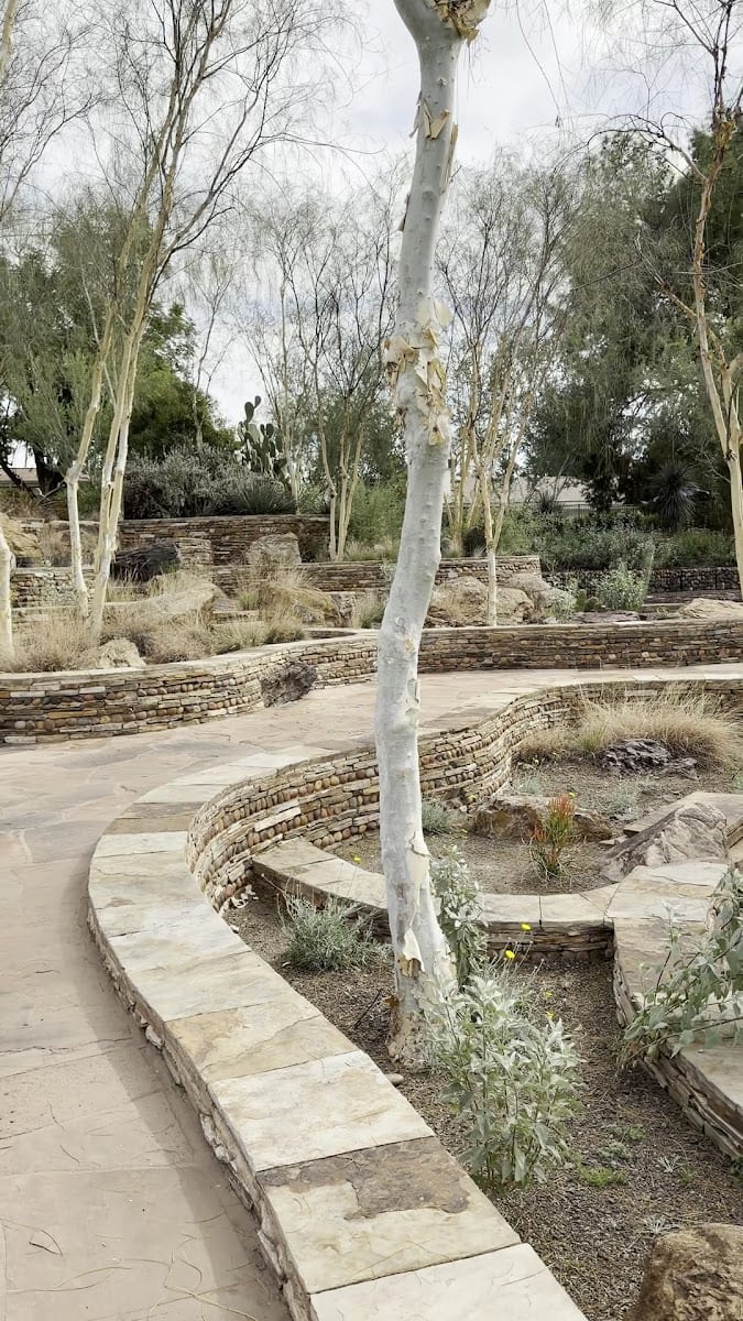 Scottsdale Xeriscape Garden, photo 2
