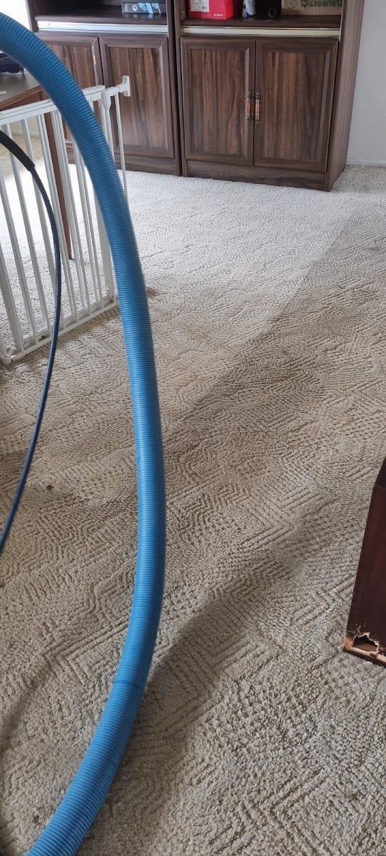 Dial a Carpet Cleaner & Pest Control