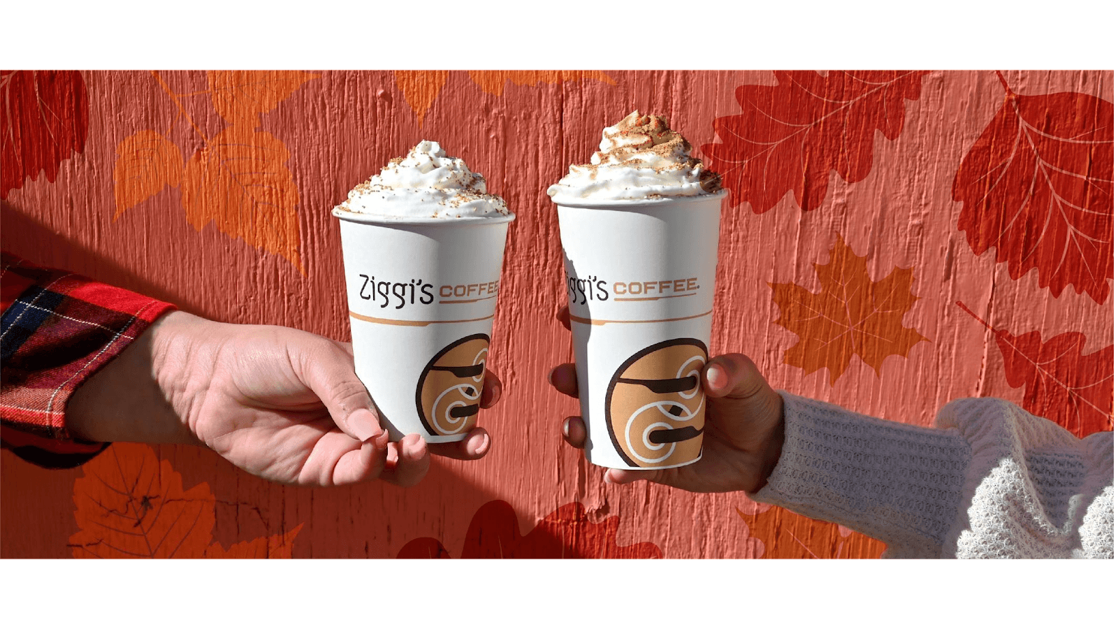 Ziggi's Coffee, photo 2