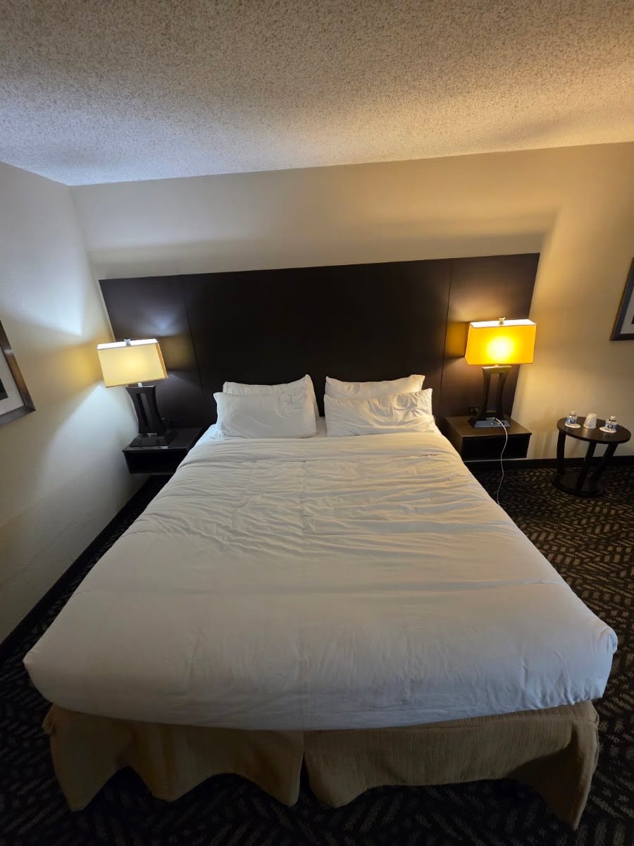 Comfort Inn & Suites Little Rock Airport, photo 3