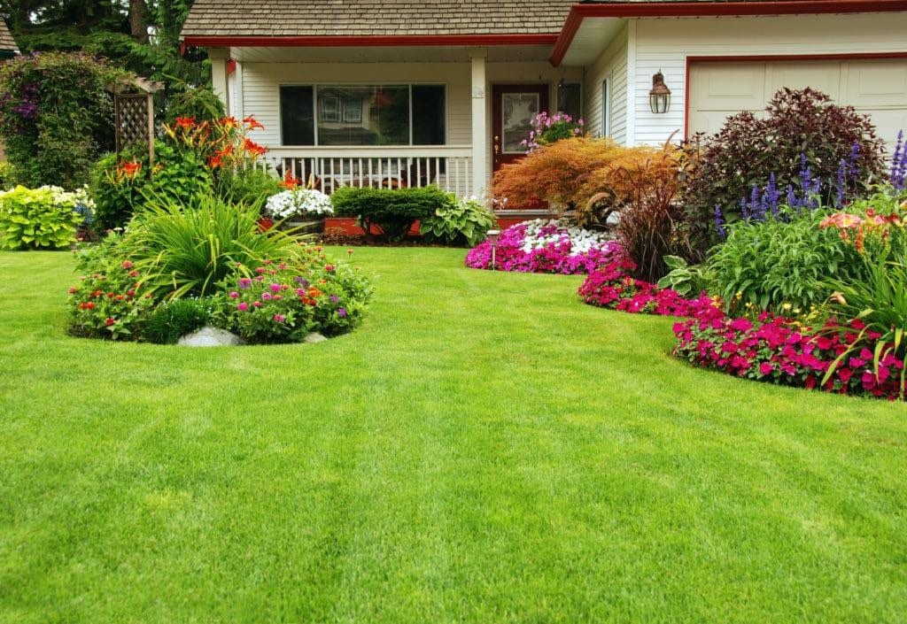 Charlotte County Lawn & Landscaping