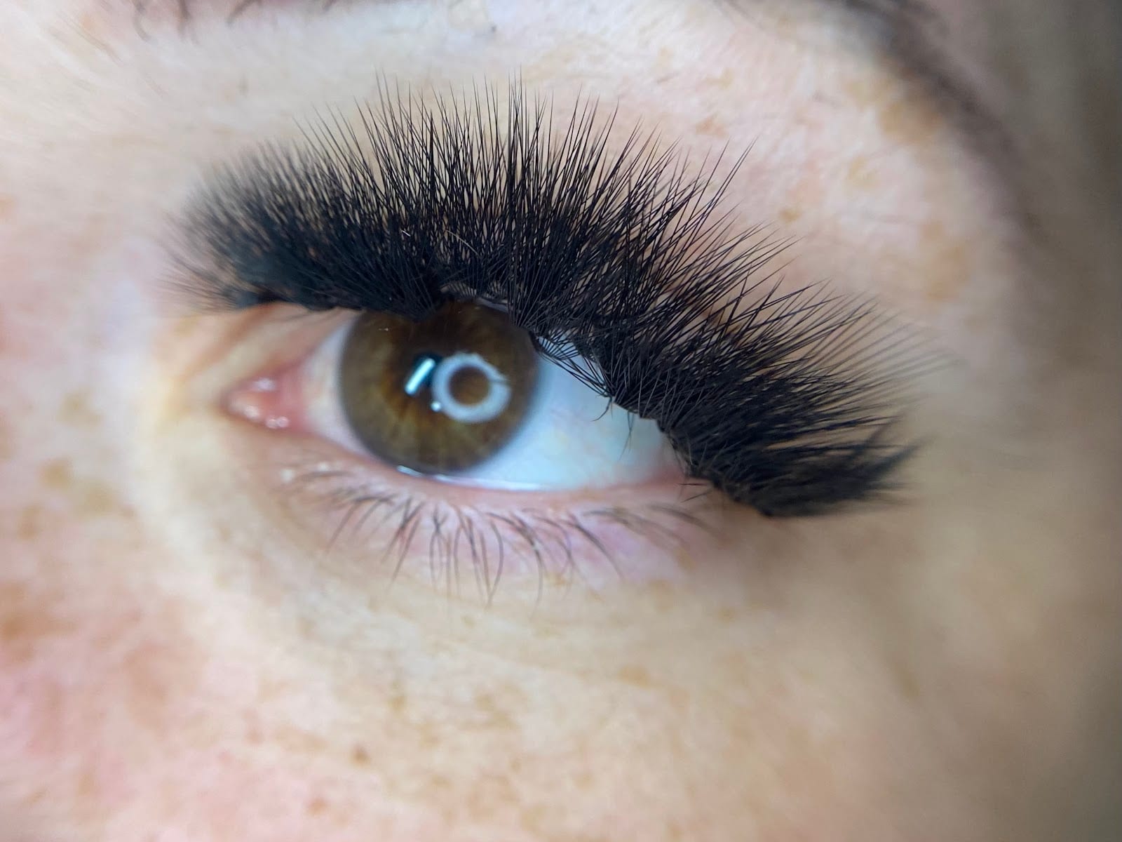 Cactus Flower Lashes