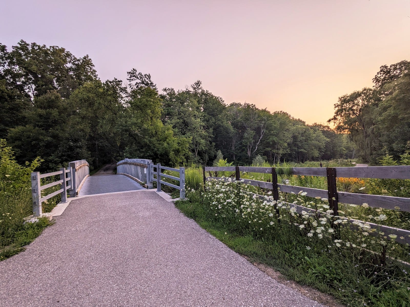 Duncan CreekTrail Francine Dr. Entrance