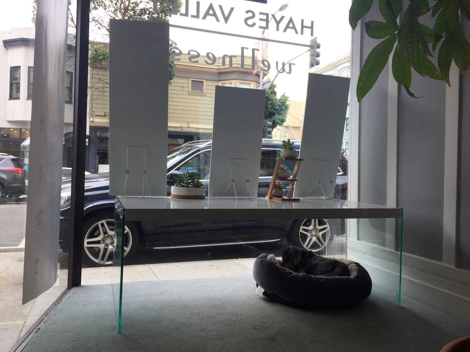 Hayes Valley Wellness