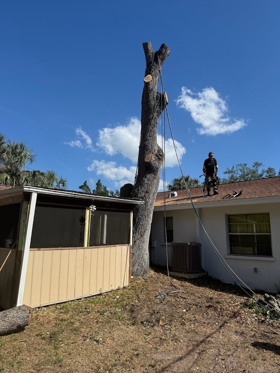 T.B.B Tree Service