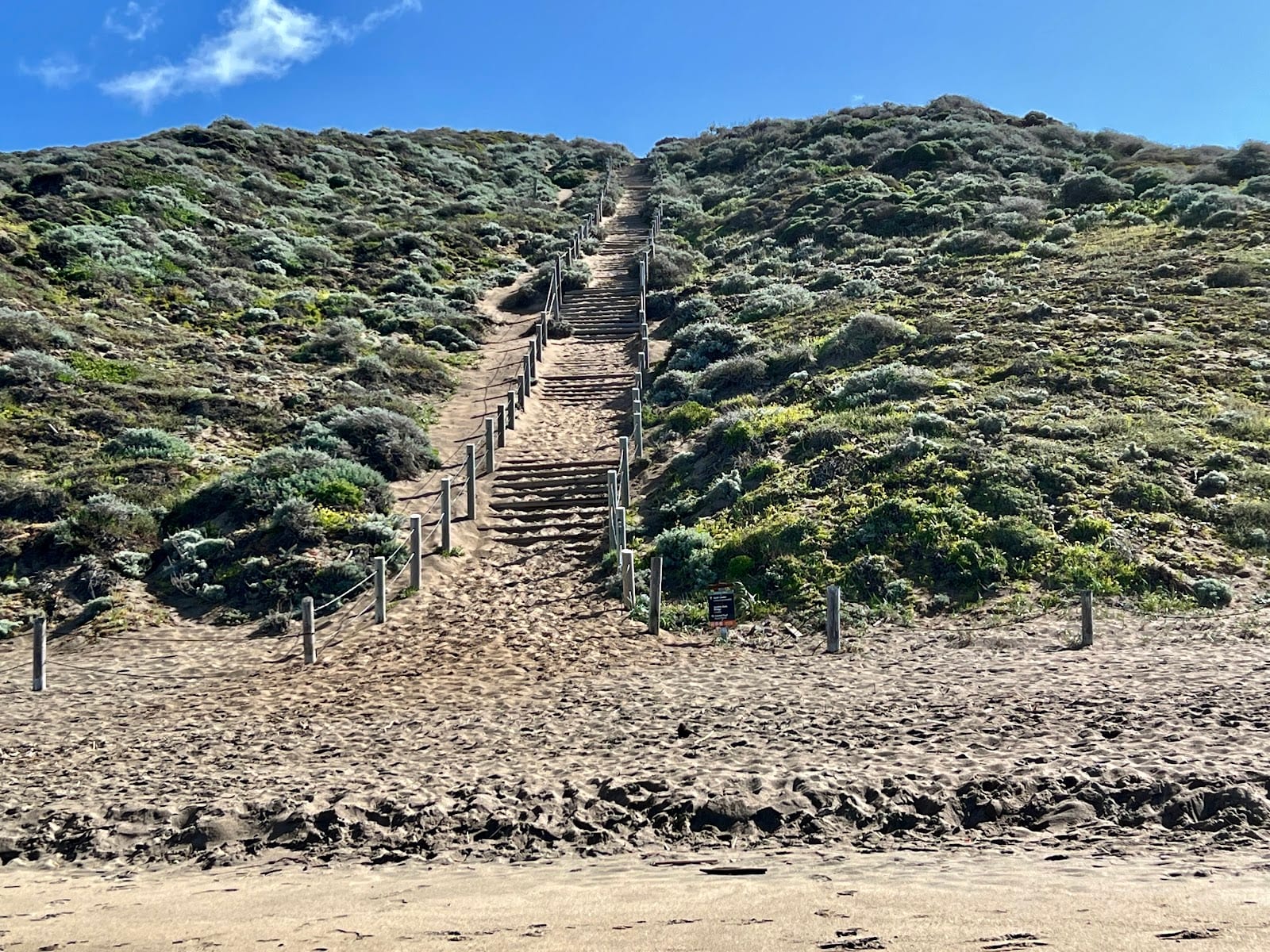 Sand Ladder