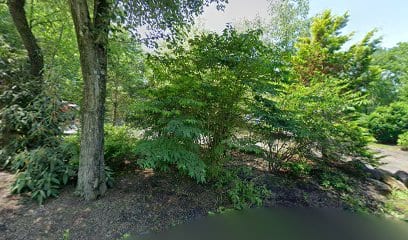 Jerry and Sons Landscaping