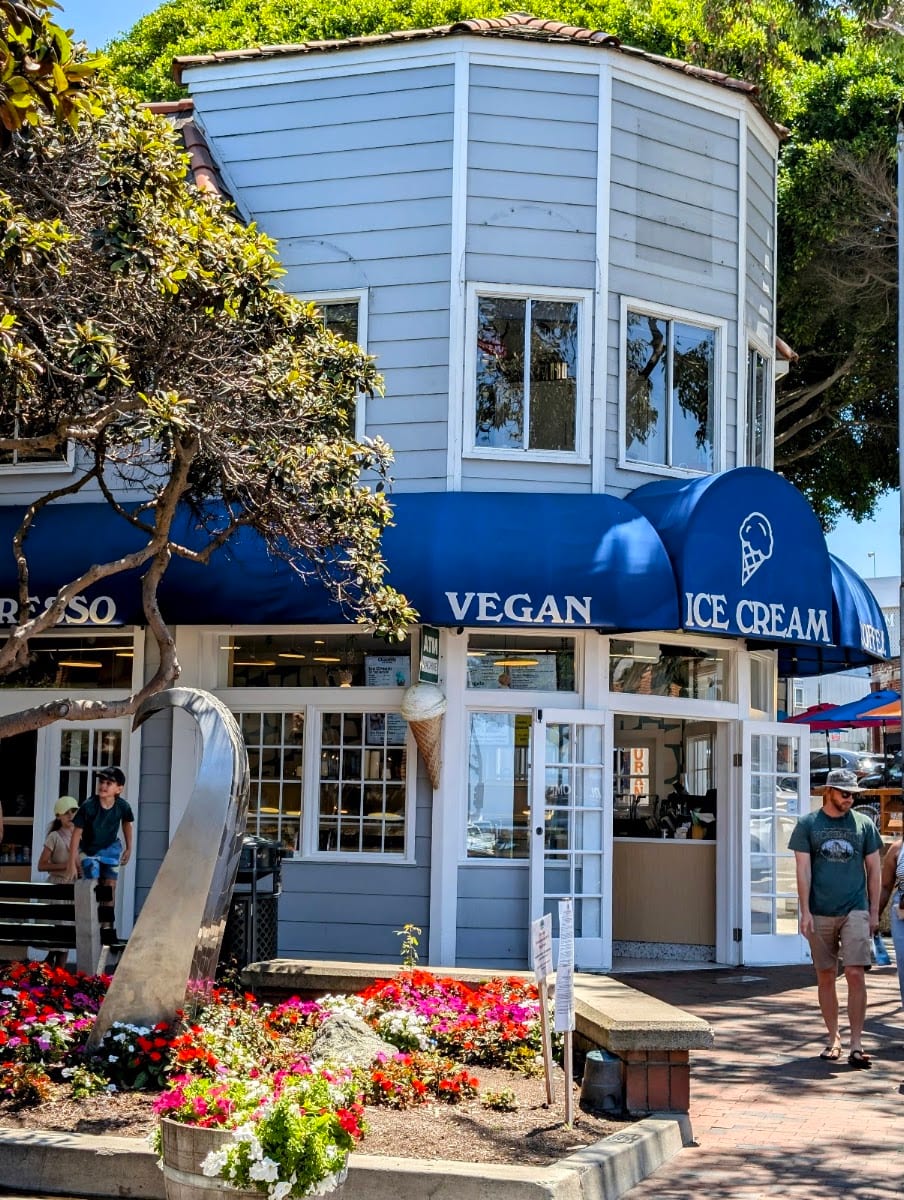Chantilly Ice Cream Laguna Beach, photo 4