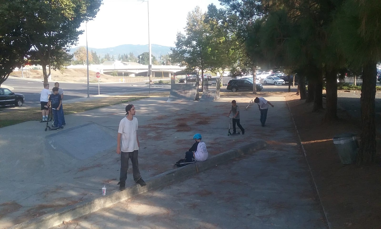 Downtown Napa Skateboard Park, photo 3