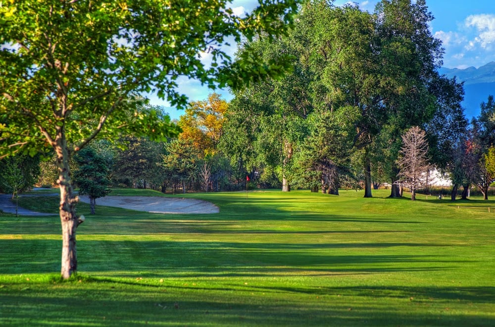 Rose Park Golf Course, photo 2