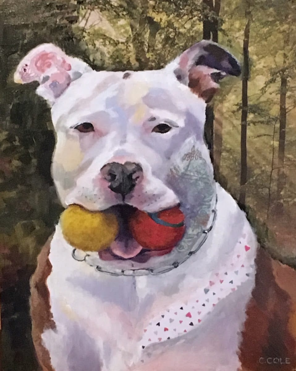 Pet Portrait Studio - Cathy Cole Fine Art, photo 4