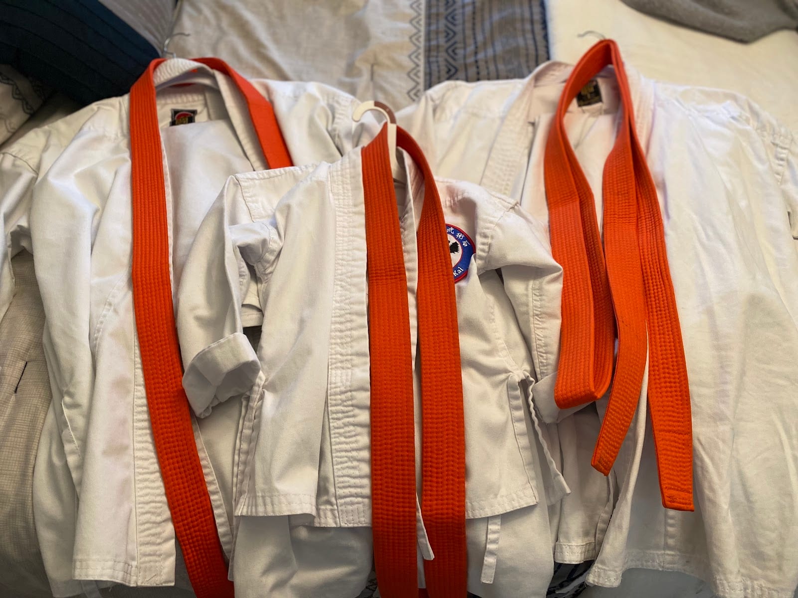 Shuhari Martial Arts, photo 2