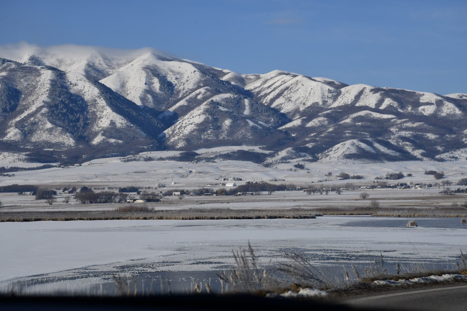 Taylor Park