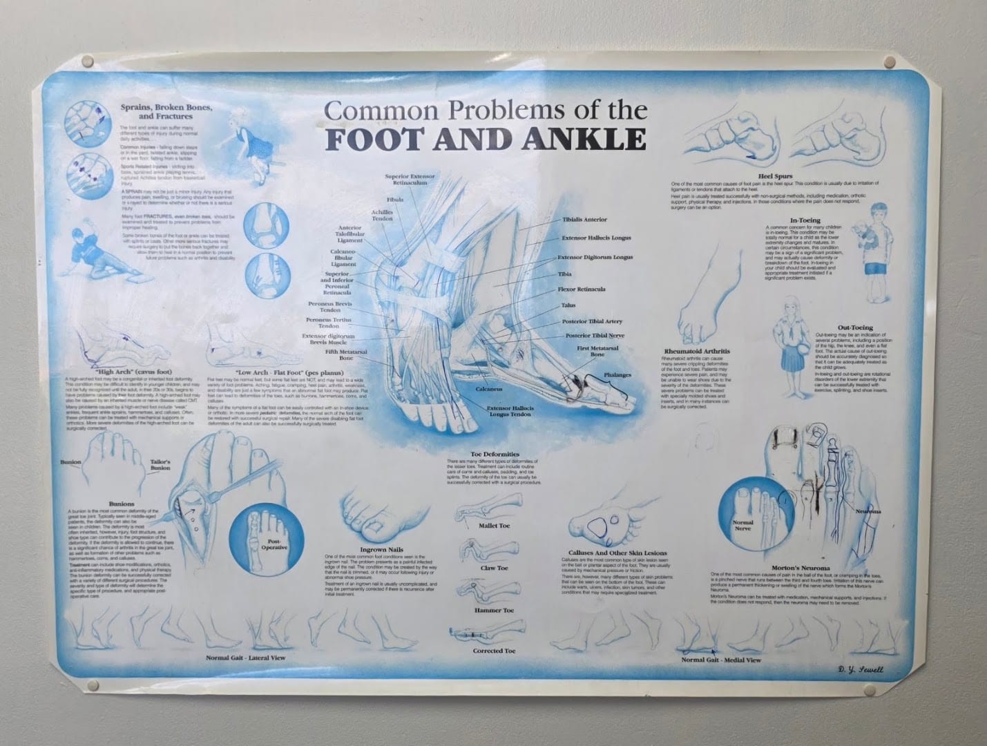 Desert Foot & Ankle, photo 2