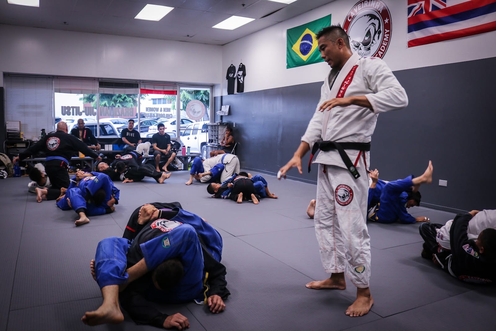 CJJF Central, photo 2