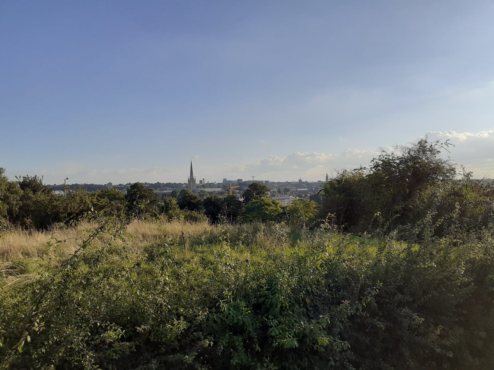Sandy Park, photo 3