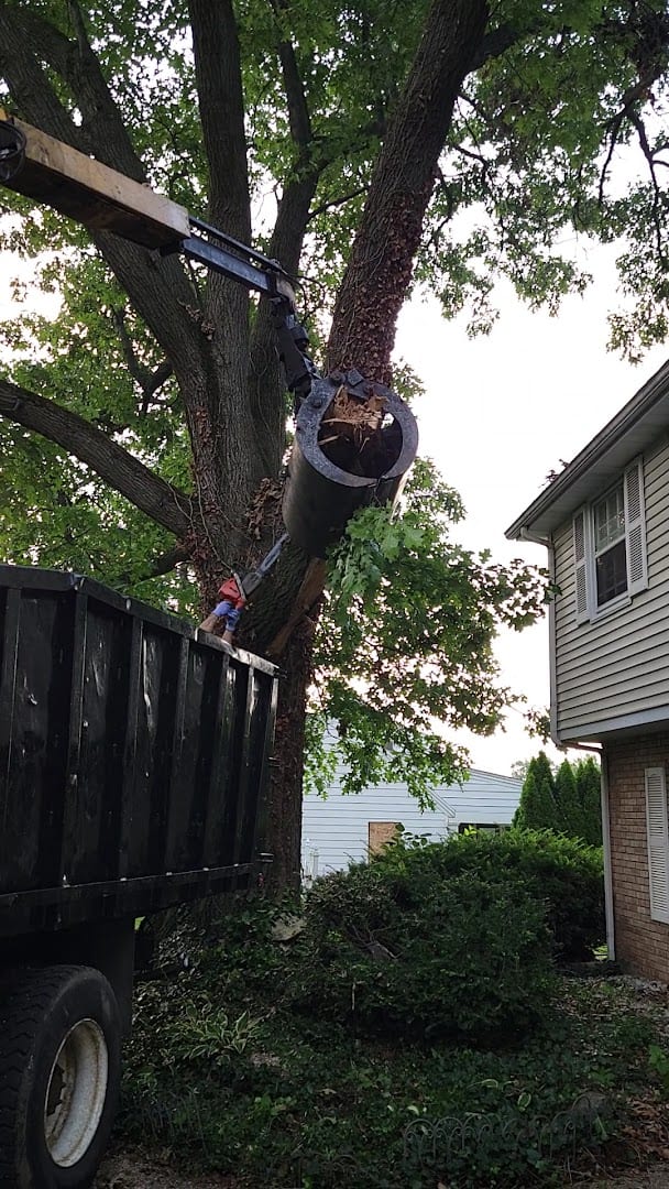 Shepard's Tree Removal, photo 2