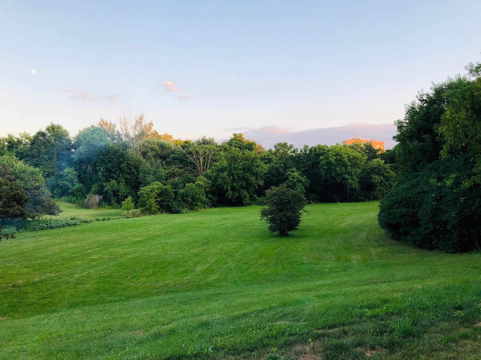 Roding Park