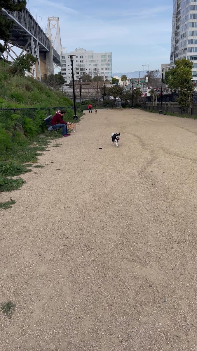 Rincon Hill Dog Park, photo 2