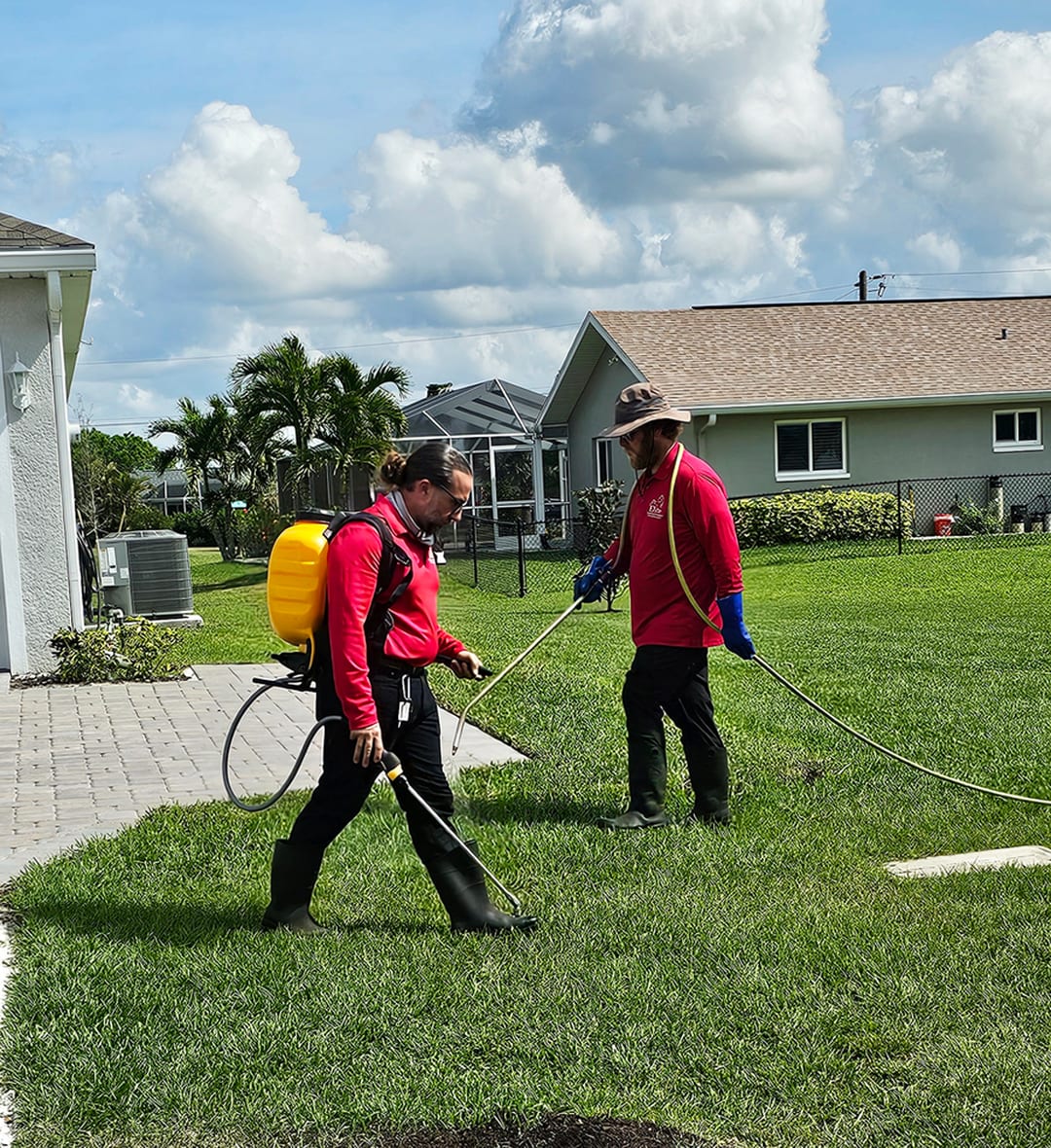 Elite Inspections & Pest Solutions