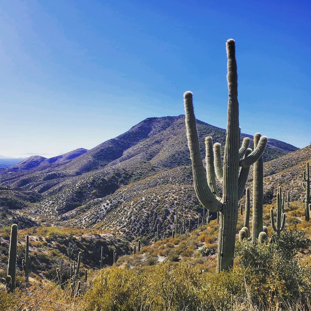 The Trails at Desert Mountain (Private access)
