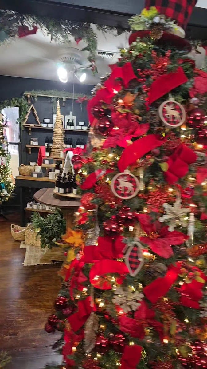 Eden Reign Salon, photo 3