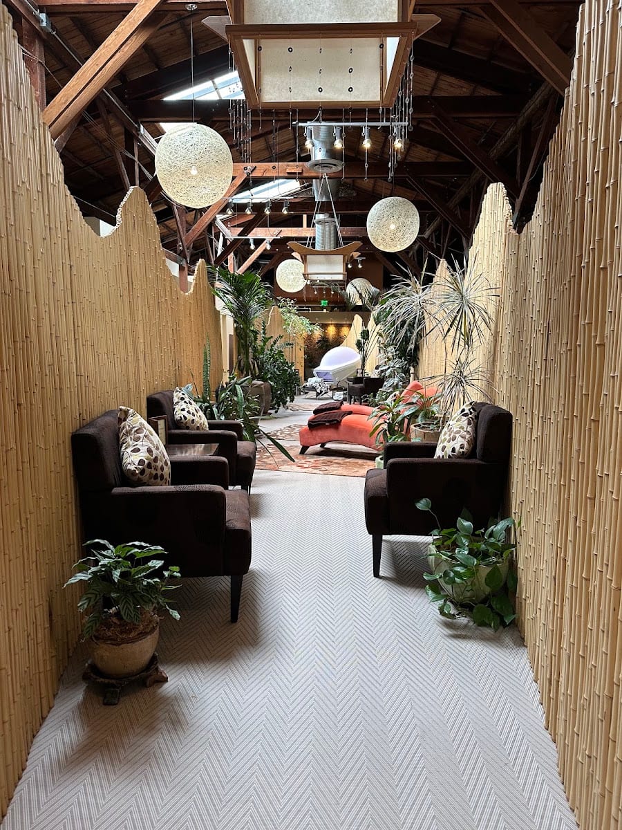 Senspa, photo 3