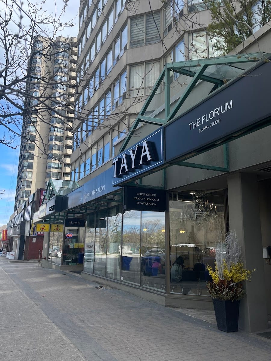Taya Hair Salon (Sheppard)