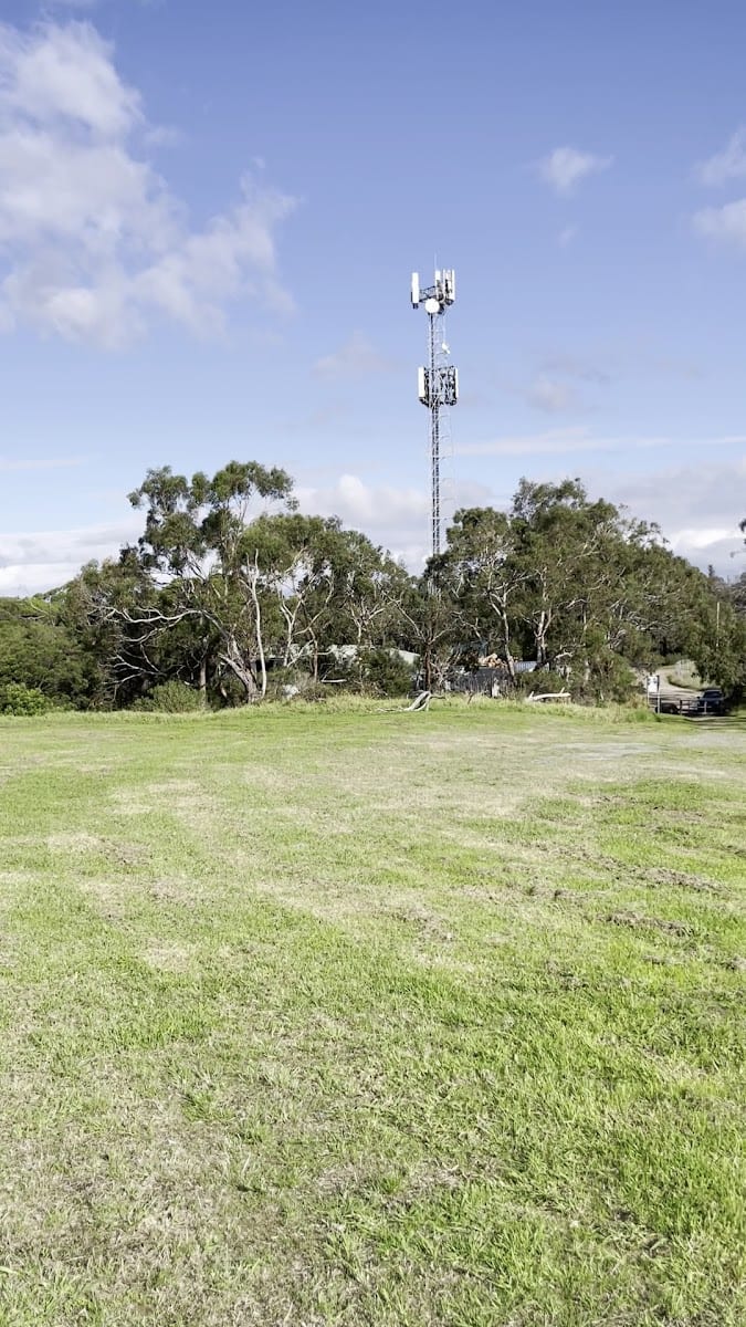Crib Point off leash dog park, photo 2