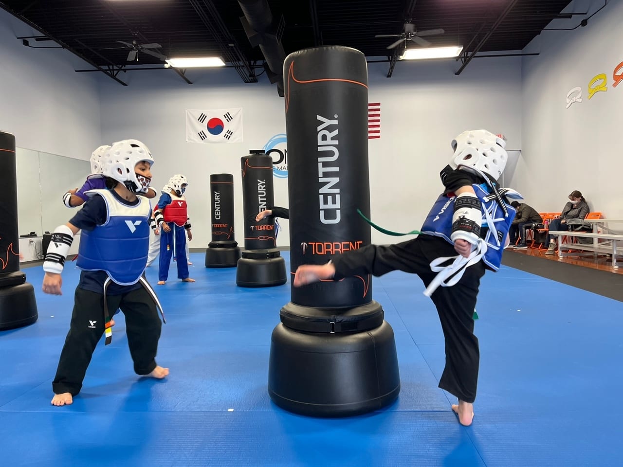 The ONE Martial Arts/Taekwondo