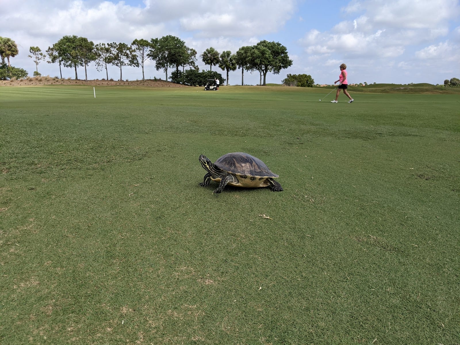 Sarasota National Golf Maintenance, photo 2