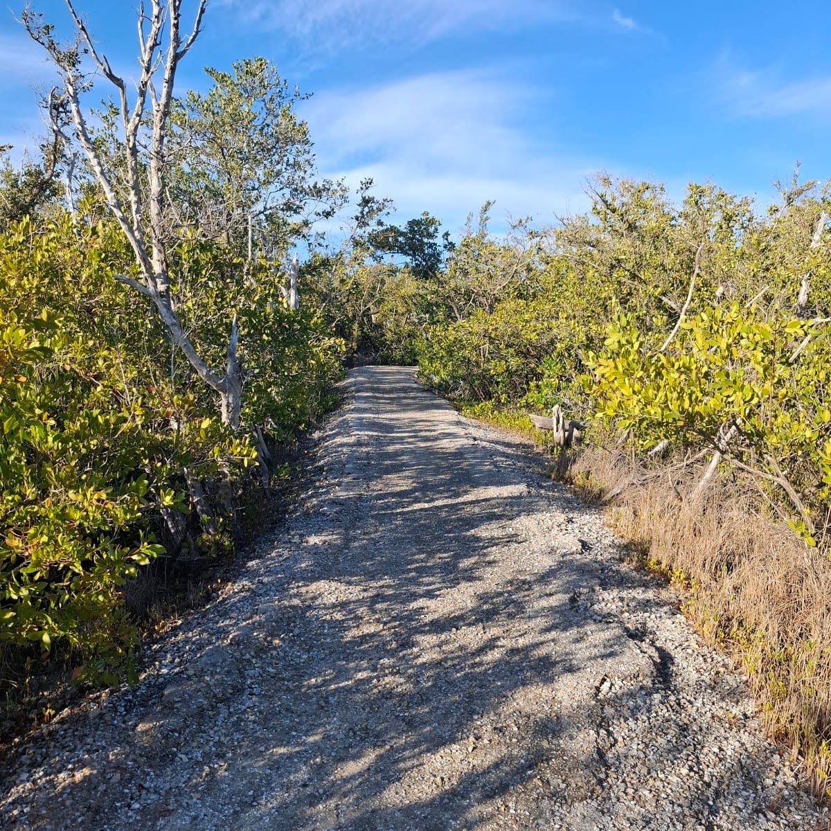 Punta Gorda Nature Park, photo 4