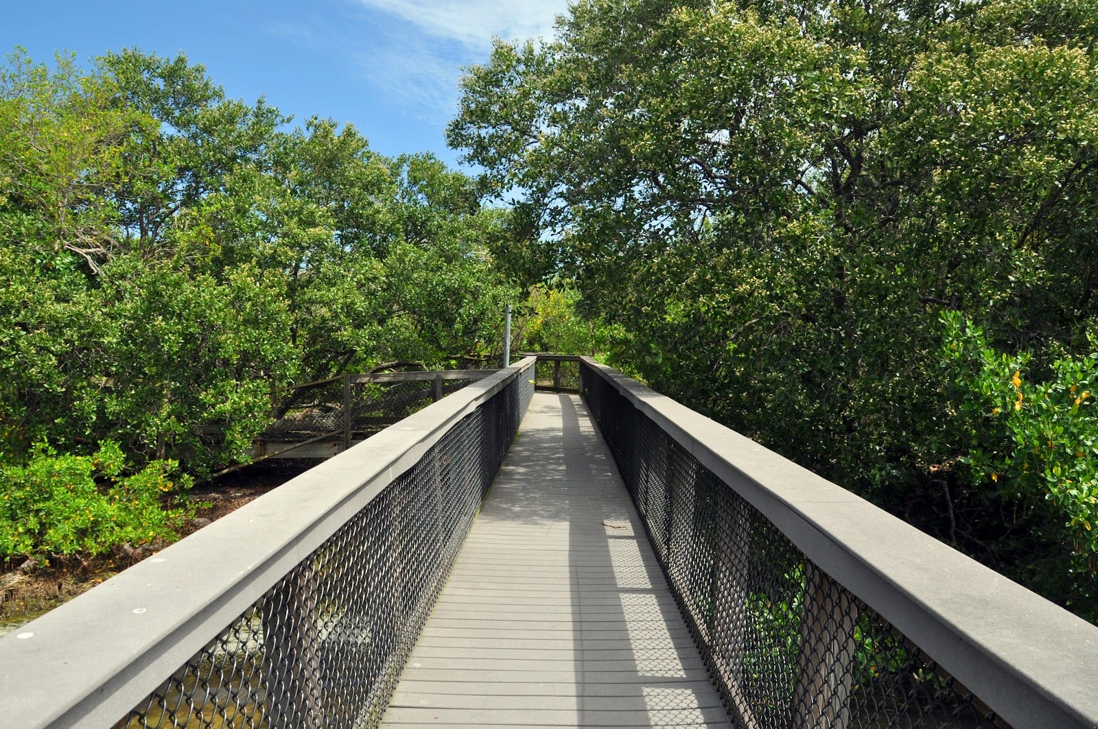 Sarasota Bay Walk, photo 2