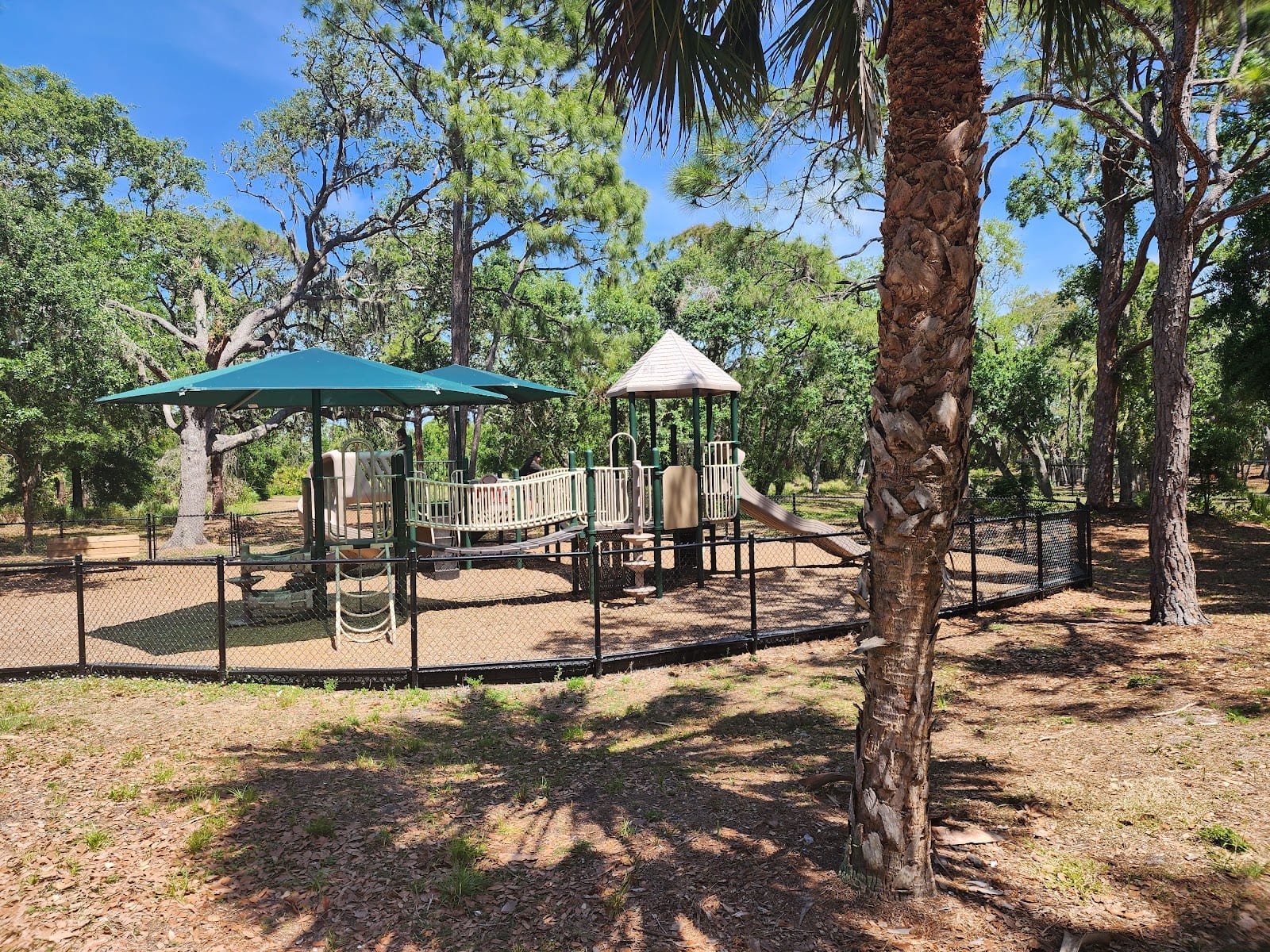 Bay Street Park