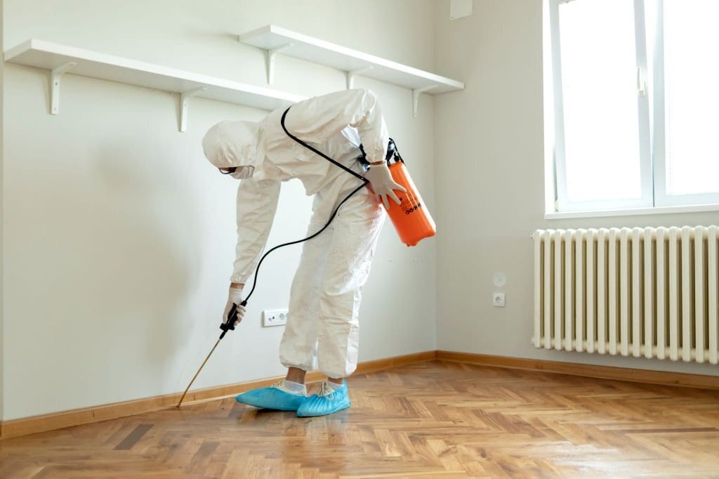 Total Pest control Little Elm, photo 3