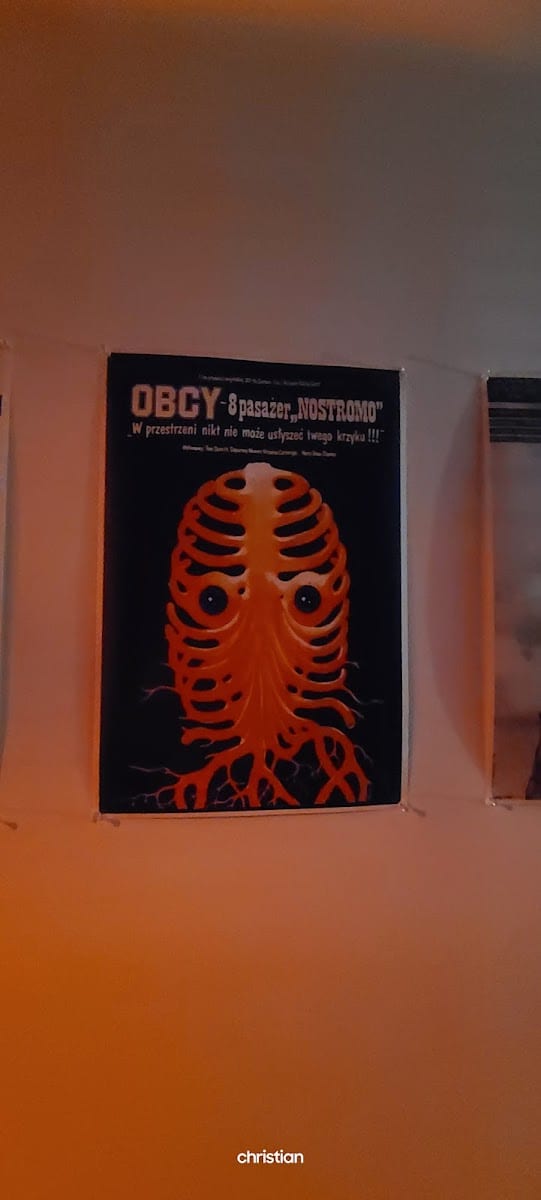 Screen Door: An Ybor City Microcinema, photo 3