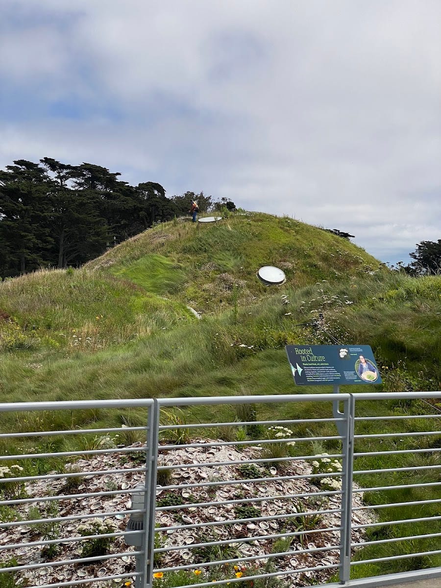 Golden Gate Park Museum