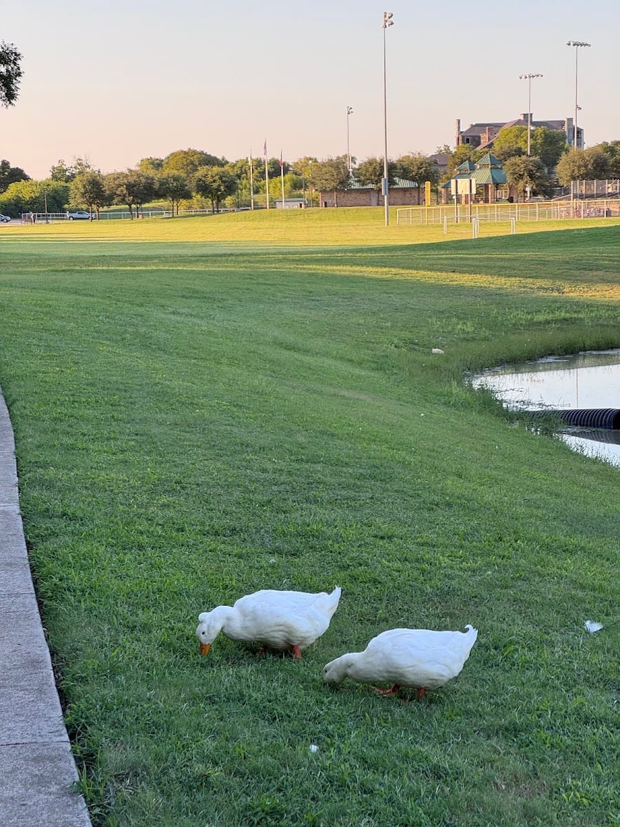 Sanger Sports Park, photo 3