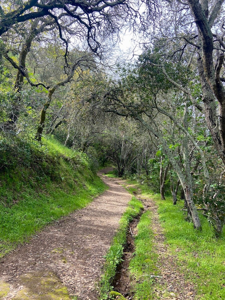 Montecito Fire Road Trail
