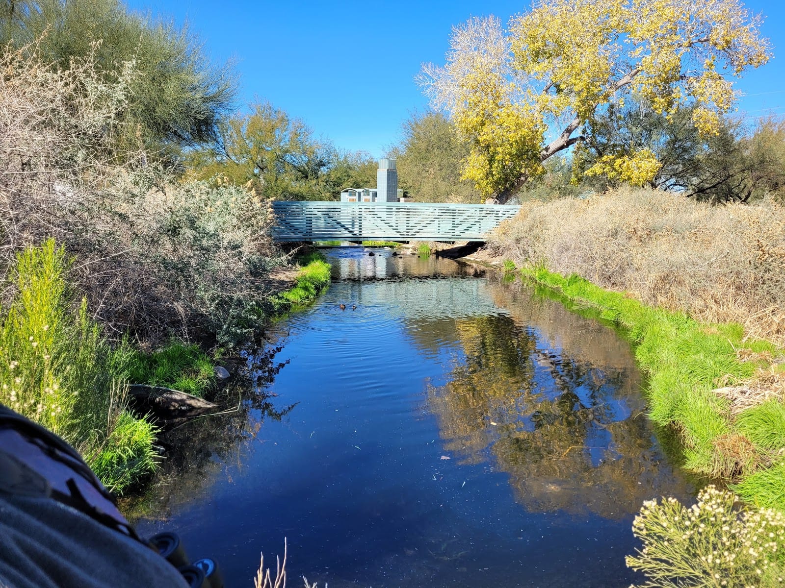 Sweetwater Wetlands Park, photo 4