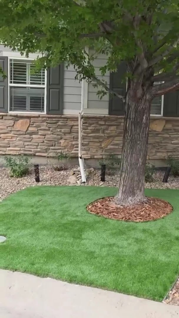 Artificial Turf Denver Center, photo 2