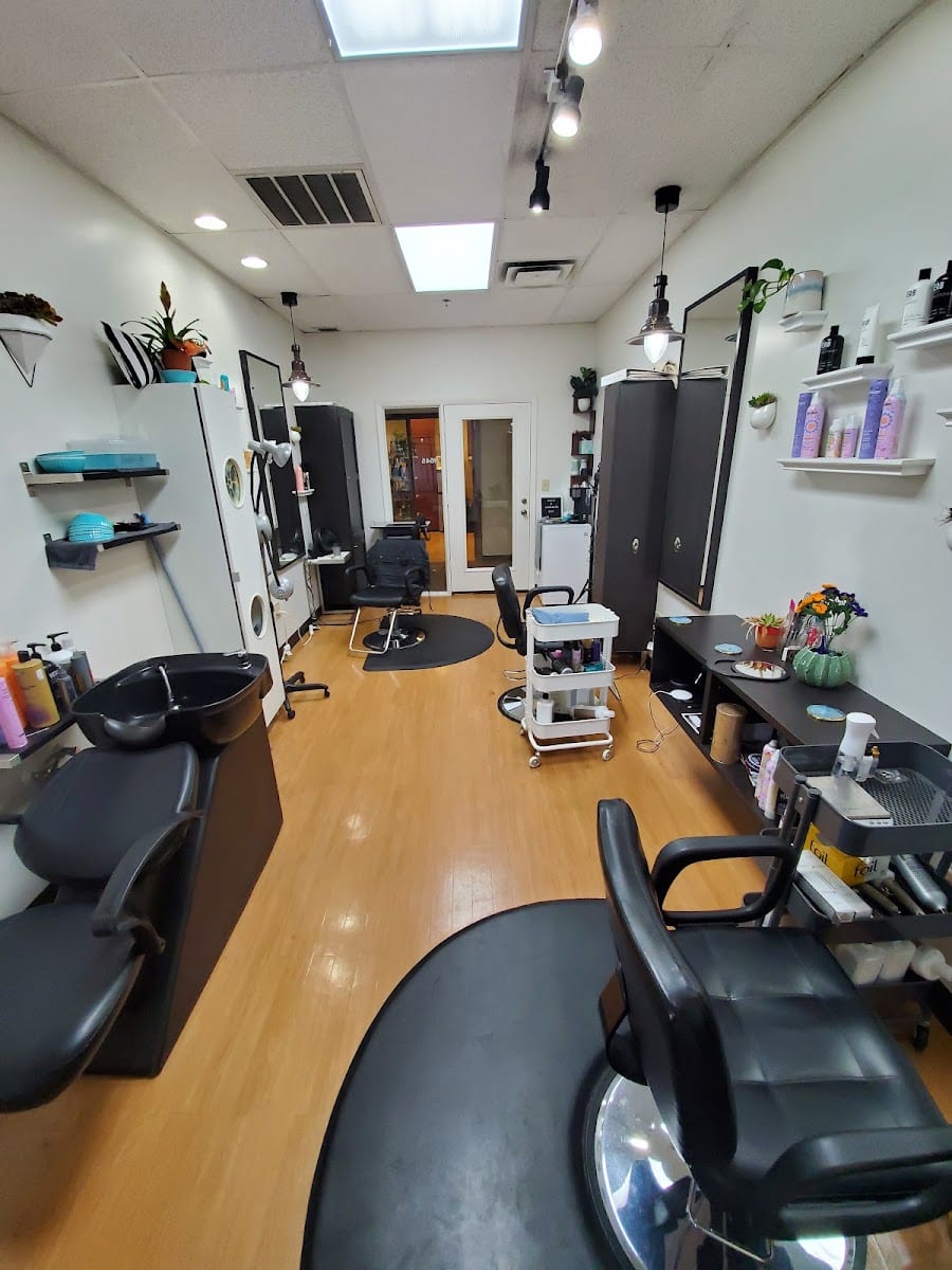 Signature Salon Studios, photo 4