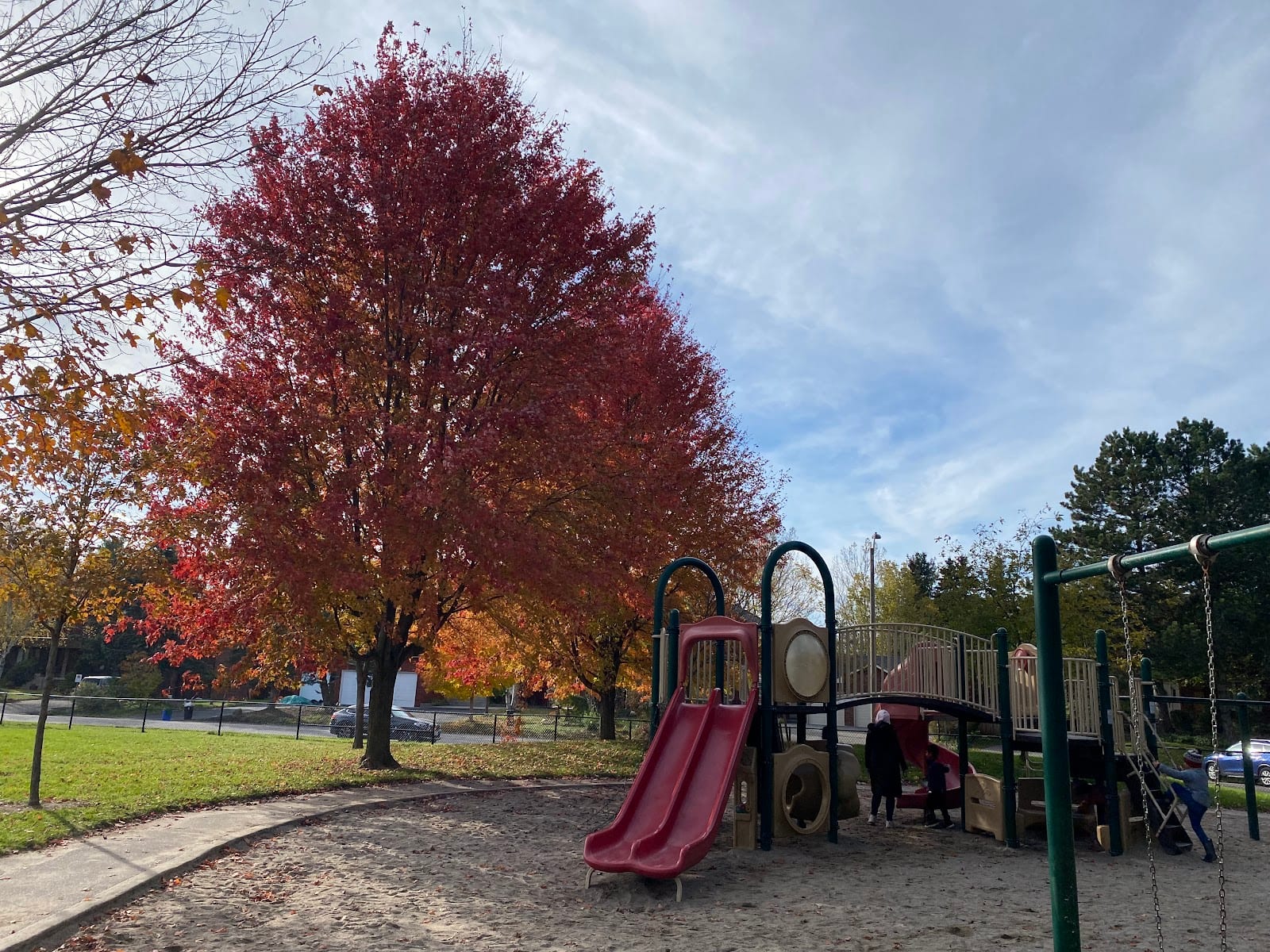 Raccoon Park