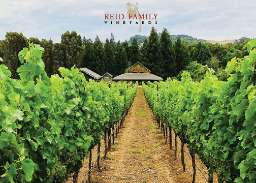 Reid Family Vineyards, photo 2